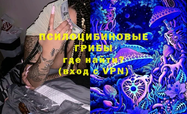 первитин Богданович