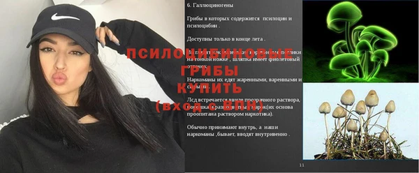первитин Богданович