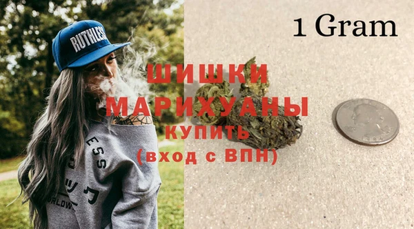 первитин Богданович