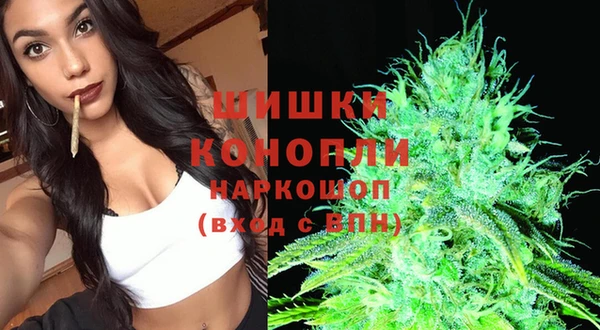 хмурый Богородицк