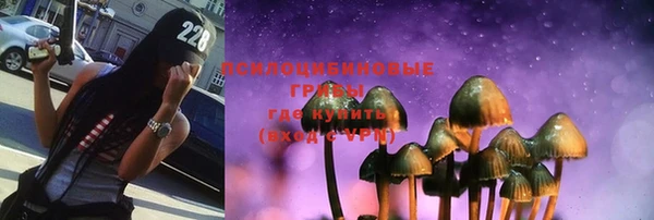 хмурый Богородицк