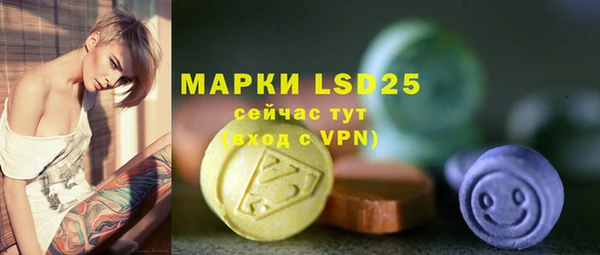 первитин Богданович