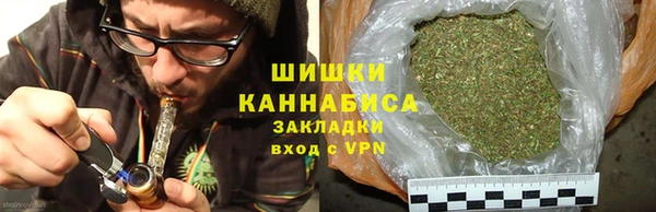 хмурый Богородицк