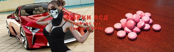 первитин Богданович